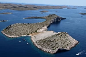 Passeio de barco para observação de golfinhos na Ilha de Molat 6 horas TOUR