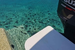 Zadar: Nationaal Park Kornati Tour met Eufemija boot