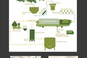 Zadar, Szybenik: degustacja oliwy z oliwek, wina i potraw, wycieczka samochodem