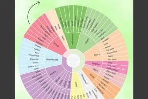 Zadar, Szybenik: degustacja oliwy z oliwek, wina i potraw, wycieczka samochodem
