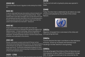 Zadar, Szybenik: degustacja oliwy z oliwek, wina i potraw, wycieczka samochodem