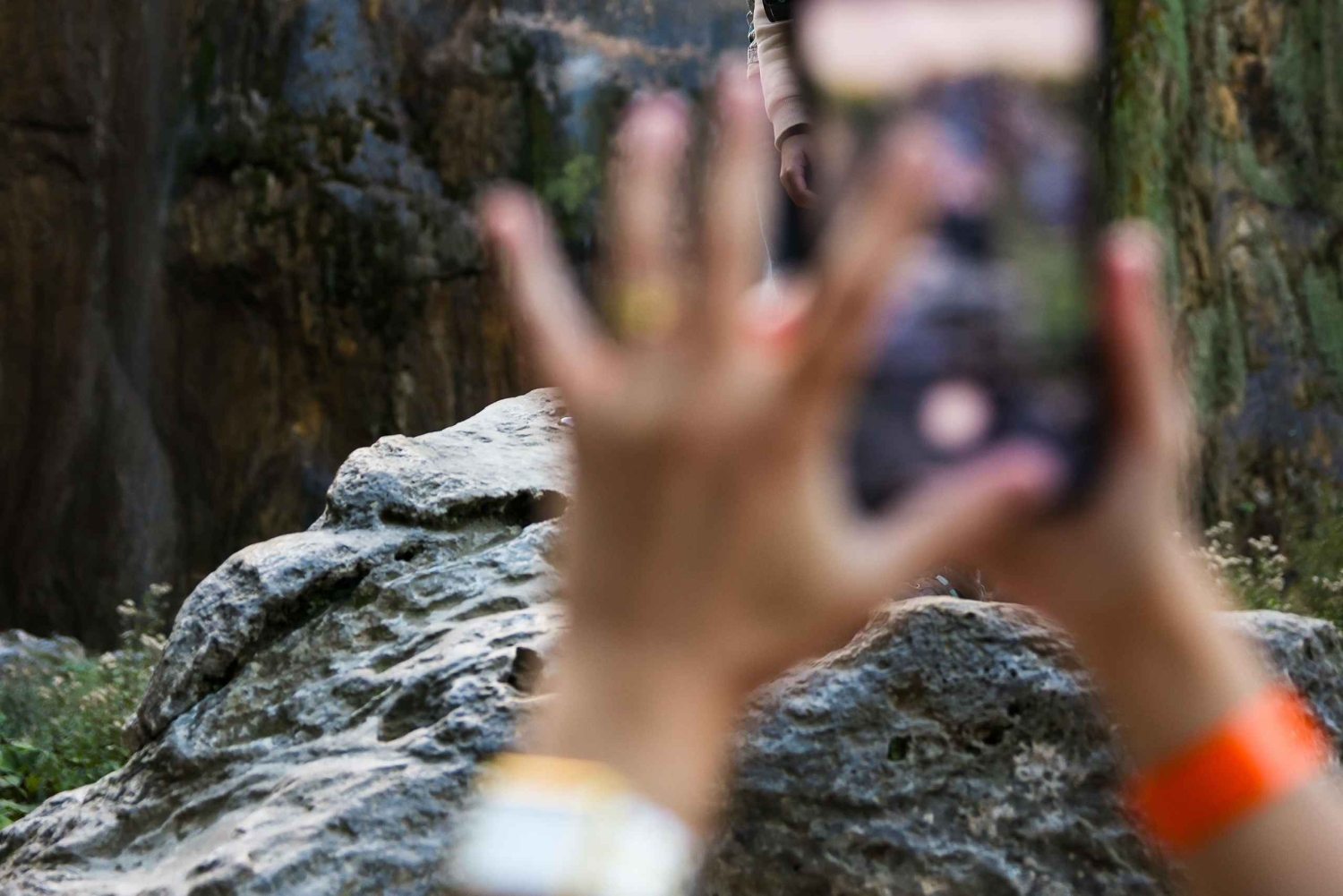 Zadar: Plitvice Lakes with Boat Ride and Zadar Old Town Tour