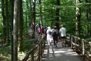 Zadar: Lagos Plitvice com passeio de barco e visita ao centro histórico de Zadar