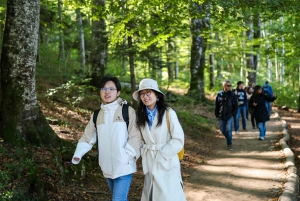 Zadar: Plitvice Lakes with Boat Ride and Zadar Old Town Tour