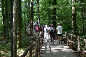 Zadar: Plitvice Lakes with Boat Ride and Zadar Old Town Tour