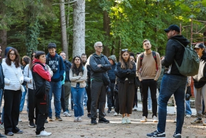 Zadar: Plitvice Lakes with Boat Ride and Zadar Old Town Tour