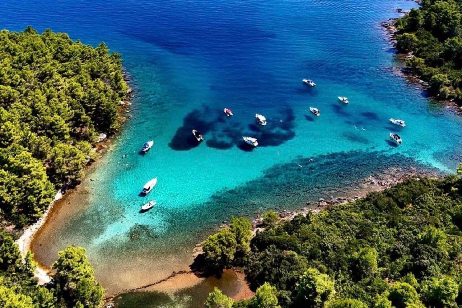 Zadar: RIB-bådtur til skjulte bugter med snorkling og drikkevarer