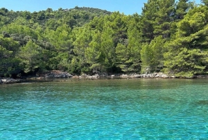 Zadar: RIB-bådtur til skjulte bugter med snorkling og drikkevarer