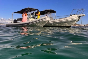 Zadar: RIB-bådtur til skjulte bugter med snorkling og drikkevarer