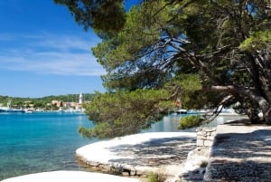 Zara: tour in barca alla spiaggia di Sakarun e all'isola di Dugi con pranzo