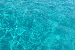 Zadar: Sakarun Bay, Golubinka Cave & Veli Žal Speedboat Tour