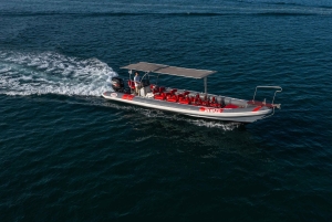 Zadar : tour en bateau avec déjeuner à la plage de Sakarun et sur l'île de Dugi