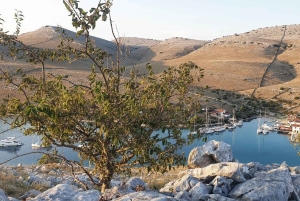 Zadar: paisagens, azeite, vinho, comida, história. A Croácia num dia