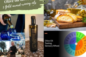 Zadar: paisagens, azeite, vinho, comida, história. A Croácia num dia