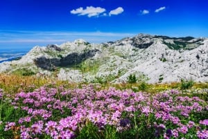 Zadar: Scenic trip to mountains, caves and rivers