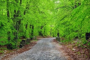 Zadar: Scenic trip to mountains, caves and rivers