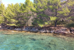 Zadar: Sea, Sun, and Wind Half-Day Sailing Adventure