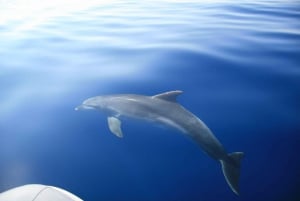 Zadar: wycieczka motorówką z nurkowaniem na 3 wyspach