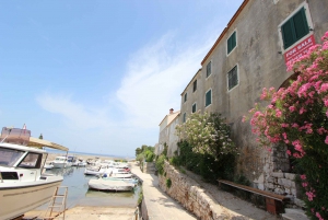 Zadar: Speedboat-strandflugt til Zadar-øerne