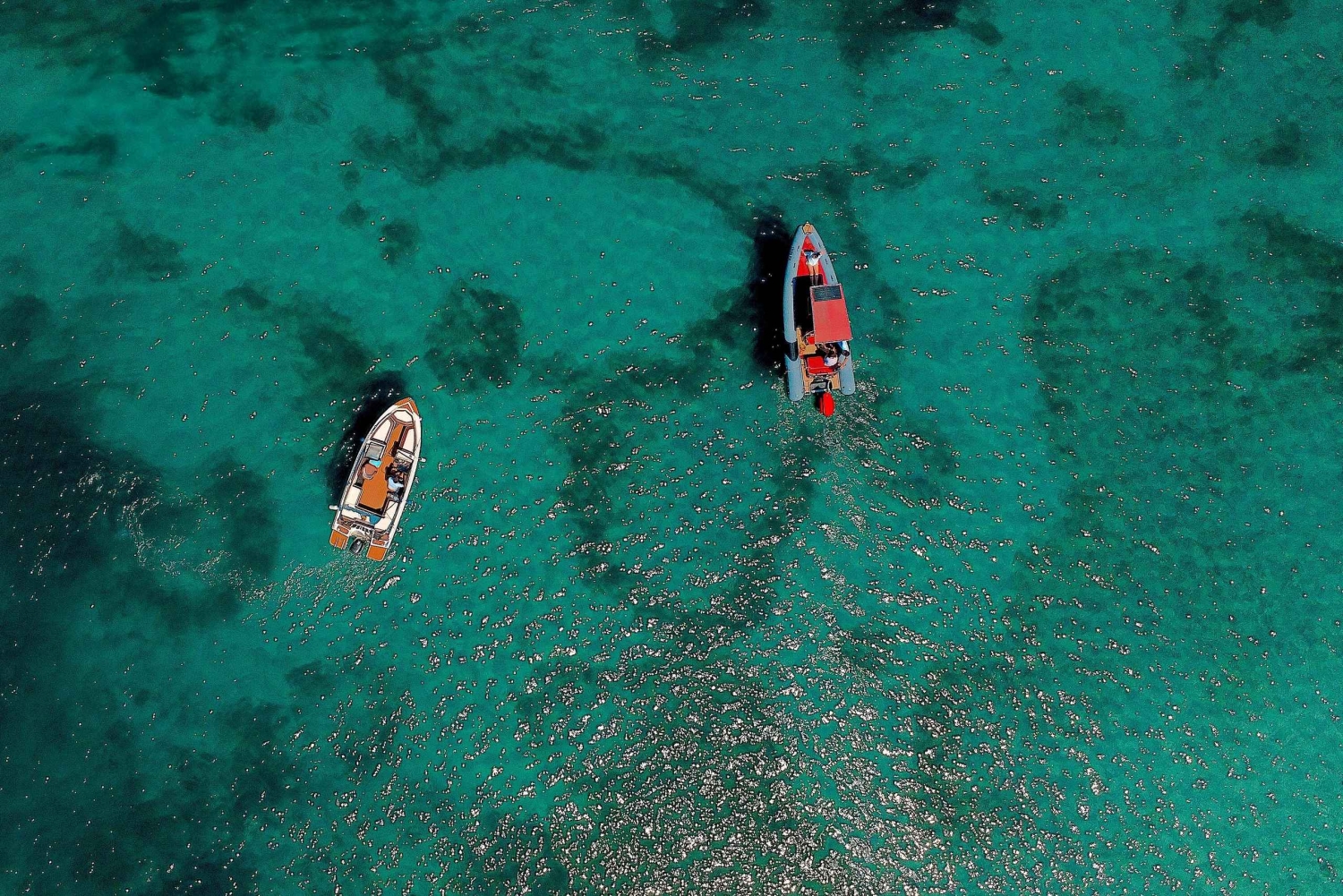 ザダル：スピードボートでスリル満点の3島ツアー（シュノーケリング付き）