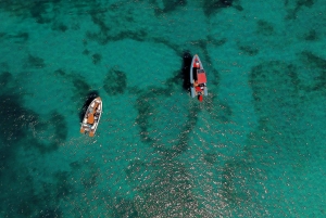 ザダル：スピードボートでスリル満点の3島ツアー（シュノーケリング付き）