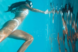 ザダル：スピードボートでスリル満点の3島ツアー（シュノーケリング付き）