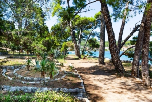Zadar: Speedboat Tour to Ugljan, Osljak, and Galevac