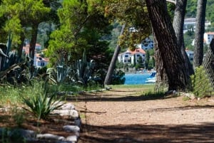 Zadar: Hurtigbåttur med 3 stopp, drikke og snorkling