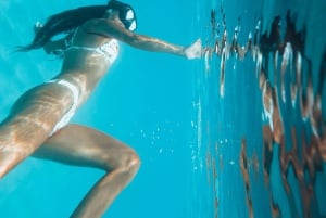 Zadar: wycieczka motorówką z nurkowaniem na 3 wyspach