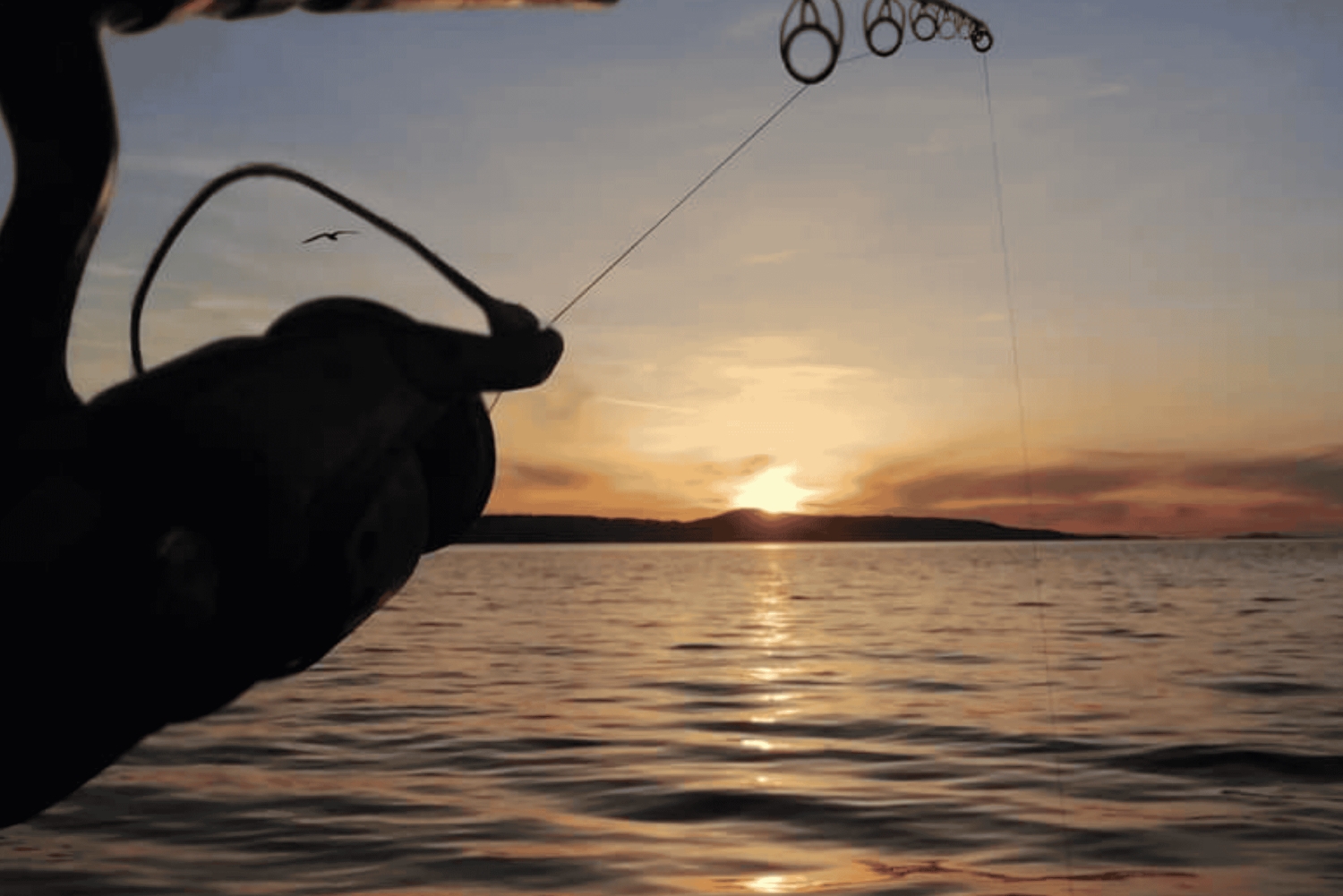 Zadar: Vissen bij zonsondergang Halve dag met gids op de boot