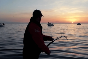 Zadar: Vissen bij zonsondergang Halve dag met gids op de boot