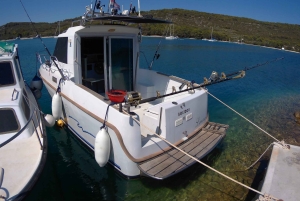 Zadar: Vissen bij zonsondergang Halve dag met gids op de boot
