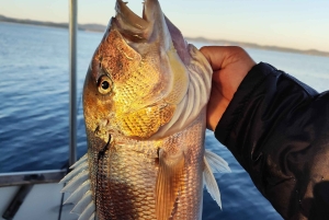 Zadar: Vissen bij zonsondergang Halve dag met gids op de boot
