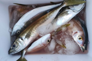 Zadar: Vissen bij zonsondergang Halve dag met gids op de boot