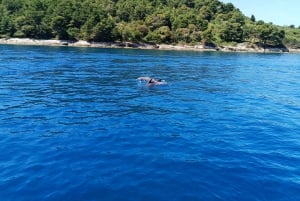 Zadar : Tour en bateau privé des trois îles