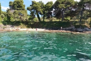 Zara:Ugljan, Frnaža,Galevac &Ošljak birra e acciughe gratis