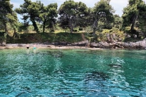 Zara:Ugljan, Frnaža,Galevac &Ošljak birra e acciughe gratis