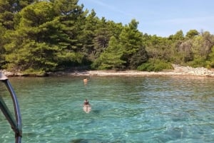 Zara:Ugljan, Frnaža,Galevac &Ošljak birra e acciughe gratis