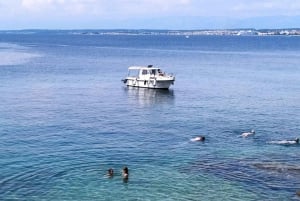 Zara:Ugljan, Frnaža,Galevac &Ošljak birra e acciughe gratis