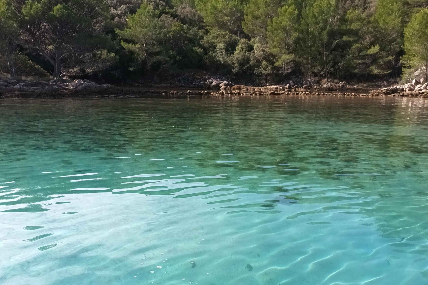 Zara:Ugljan, Frnaža,Galevac &Ošljak birra e acciughe gratis