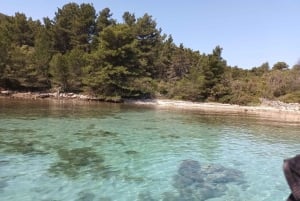 Zara:Ugljan, Frnaža,Galevac &Ošljak birra e acciughe gratis