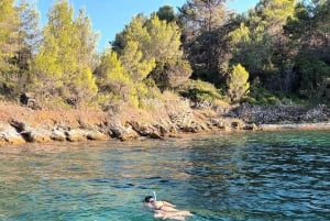 Zara:Ugljan, Frnaža,Galevac &Ošljak birra e acciughe gratis