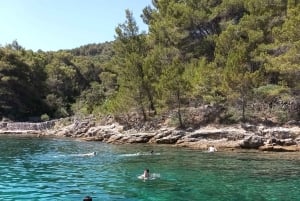 Zara:Ugljan, Frnaža,Galevac &Ošljak birra e acciughe gratis