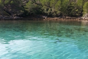 Zara:Ugljan, Frnaža,Galevac &Ošljak birra e acciughe gratis