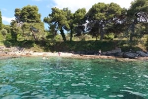 Zara:Ugljan, Frnaža,Galevac &Ošljak birra e acciughe gratis