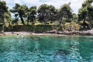 Zara:Ugljan, Frnaža,Galevac &Ošljak birra e acciughe gratis