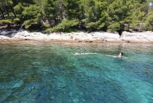 Zara:Ugljan, Frnaža,Galevac &Ošljak birra e acciughe gratis