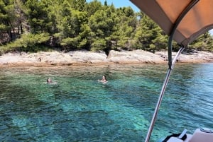 Zara:Ugljan, Frnaža,Galevac &Ošljak birra e acciughe gratis