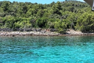 Zara:Ugljan, Frnaža,Galevac &Ošljak birra e acciughe gratis