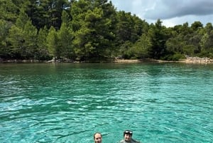 Zara:Ugljan, Frnaža,Galevac &Ošljak birra e acciughe gratis